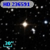 HD 236591