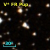 V* FR Pup