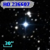 HD 236607