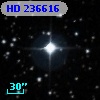 HD 236616
