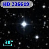 HD 236619
