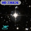 HD 236626