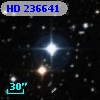 HD 236641