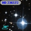 HD 236572