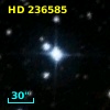 HD 236585