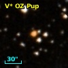 V* OZ Pup
