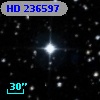 HD 236597