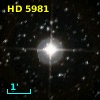 HD   5981
