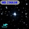 HD 236610