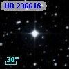 HD 236618