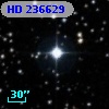 HD 236629