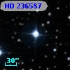 HD 236587