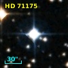 HD  71175