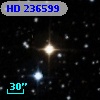 HD 236599