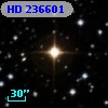 HD 236601