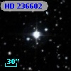 HD 236602