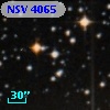 NSV  4065