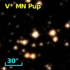V* MN Pup