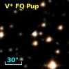 V* FQ Pup