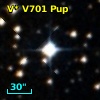 CD-23  7130