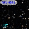 NSV  4001