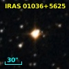 IRAS 01036+5625