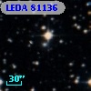 LEDA   81136