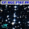 Cl* NGC 2567     PM      43