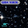 LEDA   81026