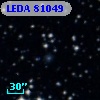LEDA   81049