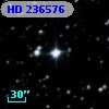 HD 236576