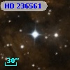 HD 236561