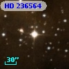 HD 236564