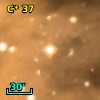 C*   37