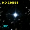 HD 236558