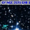 Cl* NGC 2571    GVB     143