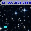 Cl* NGC 2571    GVB     504