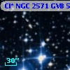 Cl* NGC 2571    GVB     515