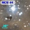 MCW   44