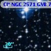 Cl* NGC 2571    GVB     702