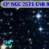 Cl* NGC 2571    GVB     991