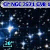 Cl* NGC 2571    GVB    1000