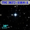 TYC 3672-1164-1