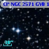 Cl* NGC 2571    GVB    1118