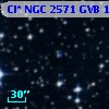 Cl* NGC 2571    GVB    1135