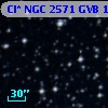 Cl* NGC 2571    GVB    1142