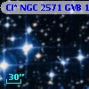 Cl* NGC 2571    GVB    1237