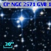 Cl* NGC 2571    GVB    1315