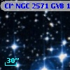 Cl* NGC 2571    GVB    1316