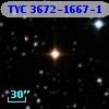 TYC 3672-1667-1